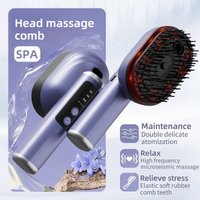 High Frequency Vibration Massage Combs Essential Oil Atomization Smooth Silicone Mini Hair Comb Electric Massagers Machine