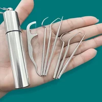 Tool Portable Teeth Cleaner for Tooth Oral Clean Stainless Steel Toothpick Set Reusable Toothpicks Tooth Flossing TartarRemoval