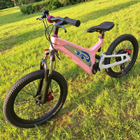 Off-road bike cross-country bicycle toy scooter mini motorcycle ATV 22" 750W 48V 10Ah( 350W 36V 16",500W 36V 18",750W 48V 20")