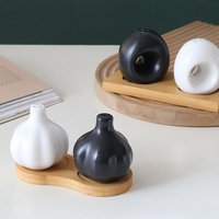 Japanese Simple Black White Ceramic Seasoning Bottle Set Creative Onion Shape Salt Shaker Set Spice Jars Cabinet Decoration
