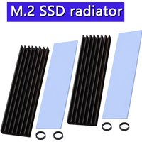 M.2 Heatsink Heatsink with Thermal Silicone Pads 2280 SSD Heatsink with 2 Black Rubber Straps For PC/PS5 M.2 SATA SSD