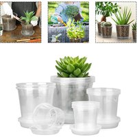 Clear nursery pots with drainage holes and saucers designed to prevent water buildup and facilitate monitoring of plant growth