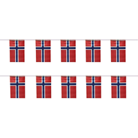SKY FLAG Norway bunting flags 14x21cm 20pcs/lot Norway String flags Pennant Banner for Festival Party decoration