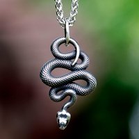 2023 new Gothic Snake Pendant Necklace For Mens Stainless Steel Animal Pendants Chain Punk Biker Fashion Jewelry Creative Gift