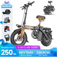 European spot fashion folding electric bicycle 250W 48v15ah lithium battery long range TOOFLY GS3 electric bicycle