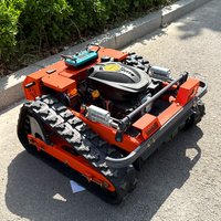 Customizable New Arrival Remote Control Diesel Lawn Mower Zero Turn Lawn Mower Diesel