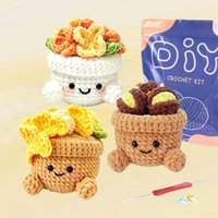 3PC Crochet Plant Pot Kit with Full Set of Materials Premium Yarn Teaching Video for Beginners Random Accessory Colors
