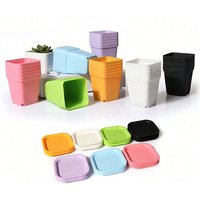 10PCS Gartenarbeit Mini Kleinen Quadratischen Topf Sieben Farben Blumentopf Sukkulenten Topf Kleine Schwarze Quadratische Kunststoff Topf Sämling Tablett TMZ