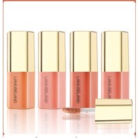 Four Color Options Matte Monochrome Mini Liquid Powder Blusher Clear Natural Moisturizing Light and Non Greasy Color Makeup