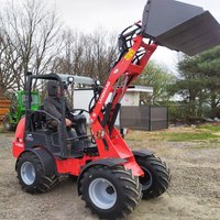Diesel Loader W1160 Customized Mini Loader Euro 5 DIESEL Engine Agriculture EPA 4WD Front End Loader 2.4 Tons LANDWARD Factory