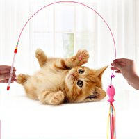 TJavier-Bâton de chat en fil d'acier, nouveau papillon coloré, plumes de dinde, poisson mignon, cloche, fournitures de jouets de jeu, offre spéciale