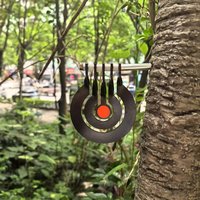 1Z-Shooting Practice with A Three - Ring Tree - Inserted Rotating Pendulum Target Made of 3 - Millimeter - Thick Metal