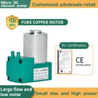 DC Diaphragm Air Pump 12V/24V/220V Single Head Pump For Lab/Beauty