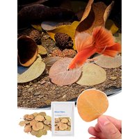 50pcs Natural Leaf Aquarium Filter Terminalia Catappa Foetida Leaves Island Almond Leaf Fish Cleaning Treatment Decoration