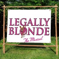 Legally Blondes Memorable Flags Borderless four-ring ornament indoor outdoor decoration effortless to hang