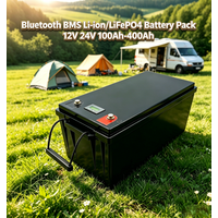 Bluetooth BMS Li-ion/LiFePO4 Battery Pack 12V 24V 100Ah-400Ah with APP, Deep Cycle Lithium Battery for Solar Inverter, E