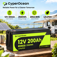 CyperOcean 2560Wh 200Ah 12V 6000+ Zyklen LiFePO4-Batterie, Eingebauter Niedertemperatur-BMS-Schutz, Tragbare Lithium-Eisenphosphat-Batterie, Geeignet für Wohnmobil-Solarsysteme, Camping, Zuhause,