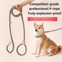 Heavy Duty Dog Leash Slip Rope Lead Adjustable Braided Loop Collar Training Leash for Small to Medium Dogs