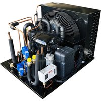 Compressor Refrigeration Unit Customized Cold Room Freezer Condensing Units with Automatic Motor and Pump