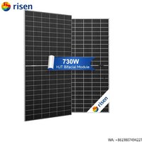 HJT 730W Solarie Panel N-Type PV Modules RSM132-8-730BHDG Bifacial Photovoltaic Solar Panels