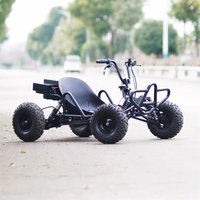 500W 48V12ah Acid battery Electric Go Kart For Sale