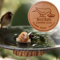 10x10cm Bird Bath Purifier Plate Triple-Point Support Purification Disk for Feeder Bath Ornaments Outdoor Patio Lawn Anti-Algae