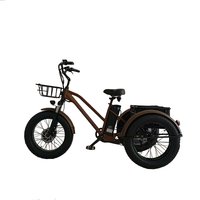 AliExpress ZHUOHE Hot Selling 500W 48v Adult Electric Tricycle Bike with Rear Hub Motor 3 Wheels Cargo Electric Bike for Delivery Fat Tyre