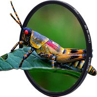 Macro Close Up Lens Filter +10 Filter Kit 49mm 52mm 55mm 58mm 62mm 67mm 72mm 77mm for Canon Nikon Sony Cameras