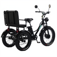 Fat Tire Elektro-Dreirad für Erwachsene mit Rücksitz/sicherem Gürtel, 750 W, leistungsstarkes Mountain Snow-Elektrofahrrad, E-Bike mit Telefonhalter