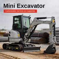2 Ton Mini Excavator Hydraulic Crawler Excavator Mini Digger With Cabin EPA Euro 5 Engine Customized