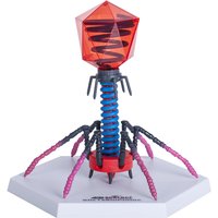 4D Vision Bacteriophage Model Biology Assembled Anatomical Model Medical Science Teaching Educational