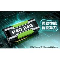 Professional P40 24G PCIe GPU for AI Deep Learning Graphics Card in Stock