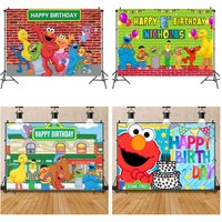 Birthday Wallpaper Backdrop Spring Photography Garden Photos for Child Women Photoshoot Cartoon S-Sesamed Street