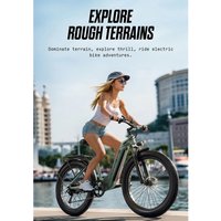 AliExpress JOOBIKE JOO1 Electric Bike 1000W 48V 17.5Ah E-Mountain Bike Adult Ebike Men Electric Bicycle Inch Fat Tire Off-Road E-Bicycle