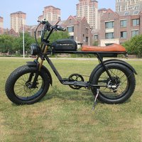 Warehouse 48V 500W /1500W 18Ah Electr Dirt Bike Adults Fat Tire Hybrid Electric Bicycle Off-road Ebike
