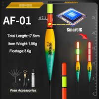 2pcs/Lot Electric Fishing Floats Gravity Sensor Bobber Smart IC Color Change CR425 Fishing Accessories Tackles