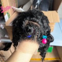 High Quality Children's Wig Kinky Curly 4x4 Lace frontal 100% Human Hair Brazilian Virgin Remy Soft Stylish Natural Cut for Kids