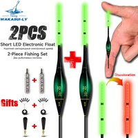 New 2-Piece Set Of Electronic Fishing Float Short Style Night LED Gravity Sensing Bite Hook Color Changing Fishing Equipment