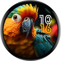 ESP32-S3 1,75-calowa płytka rozwojowa z okrągłym wyświetlaczem dotykowym AMOLED, 32-bitowy dwurdzeniowy procesor LX7, 466 × 466 pikseli, interfejs QSPI,