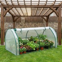 Transparent Mini Plant Greenhouse Plastic Waterproof Insulation Cover Bird-proof Efficient Protect Plant Grow Tent Backyard