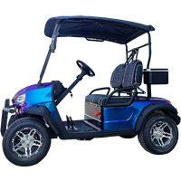 China Wholesale Manufacturer Electric Gas Powered Golf Cart with 10/12/14 Inch Off-Road Tires 2 Seats Electric Golf Scooter