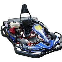 200cc Performanced Go Kart for Adult High Quality Adult Fuel Racing Go Karting