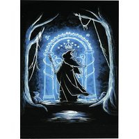 60 PCS 66x91mm Standard Size Card Protector Wizard Card Shield Set Anime Card Sleeves for MTG/PKM/YGO Game Cards