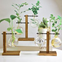 Hydrokultur-Pflanze, Terrarium, Vasevase, Dekoration für Zuhause, Glasflasche, Hydrokultur-Desktop-Dekoration, Büro, grüne Pflanze, kleiner Topf