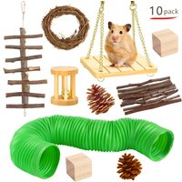 Jouet de dentition en bois pour petits animaux de compagnie, pour hamster, lapin, overnéerlandais, perroquet, nouveau