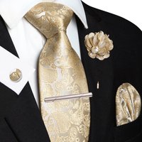 Champagne Floral Paisley Silk Elegant Tie For Men Groom Wedding Men Necktie Pocket Square Cufflink Brooch Tie Clip Accessory