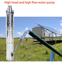 750W 48V 60V 72V Solar Deep Well Pump Max Head 100M With Built Controller DC Brushless Stainless Steel Submersible Drilling Pump