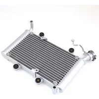 Motorcycle Radiator Cooler Cooling Tank Motorcycle Parts For Moto Quad ATV UTV Dirt Bike Parts 150cc 200cc 250cc