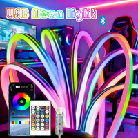 RGB Esports Room Neon Strip Light USB Waterproof Flexible Ribbon Tape Neon Lights with Bluetooth Remote Control for Home Decor