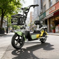 Adult City Commuter Electric Bicycle, 20 Inch 350W E-Bike with Removable Battery